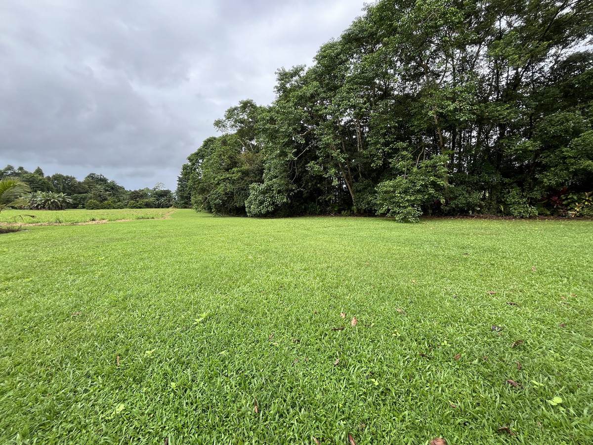 253-267 Boulders Road, Babinda For Sale by Farmbuy.com - image 5