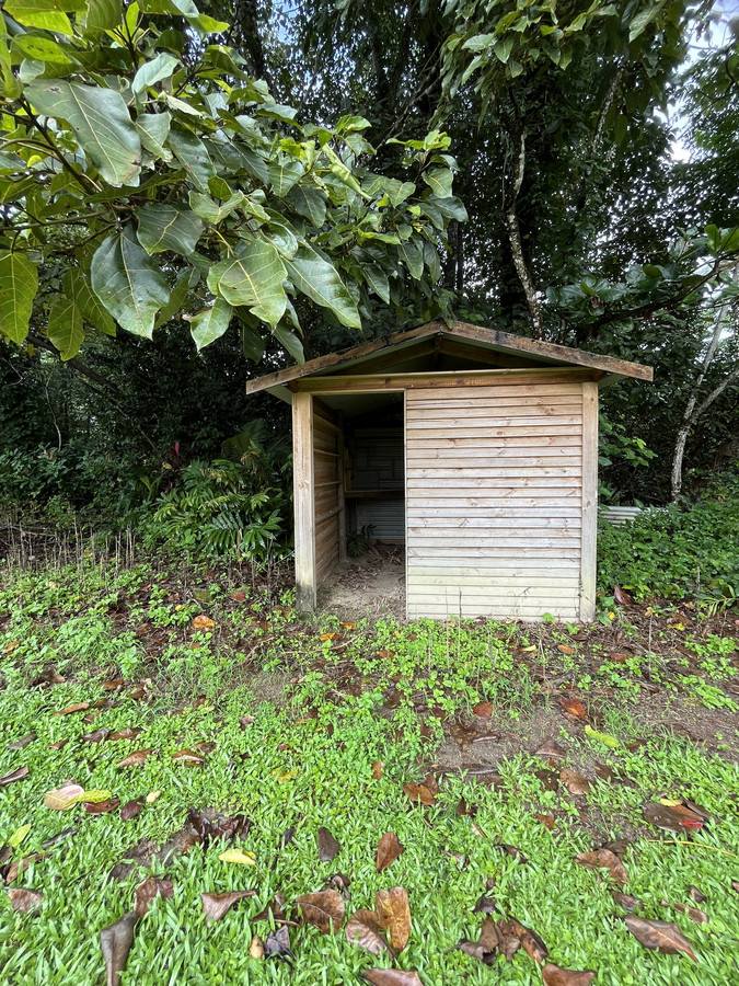 253-267 Boulders Road, Babinda For Sale by Farmbuy.com - image 9