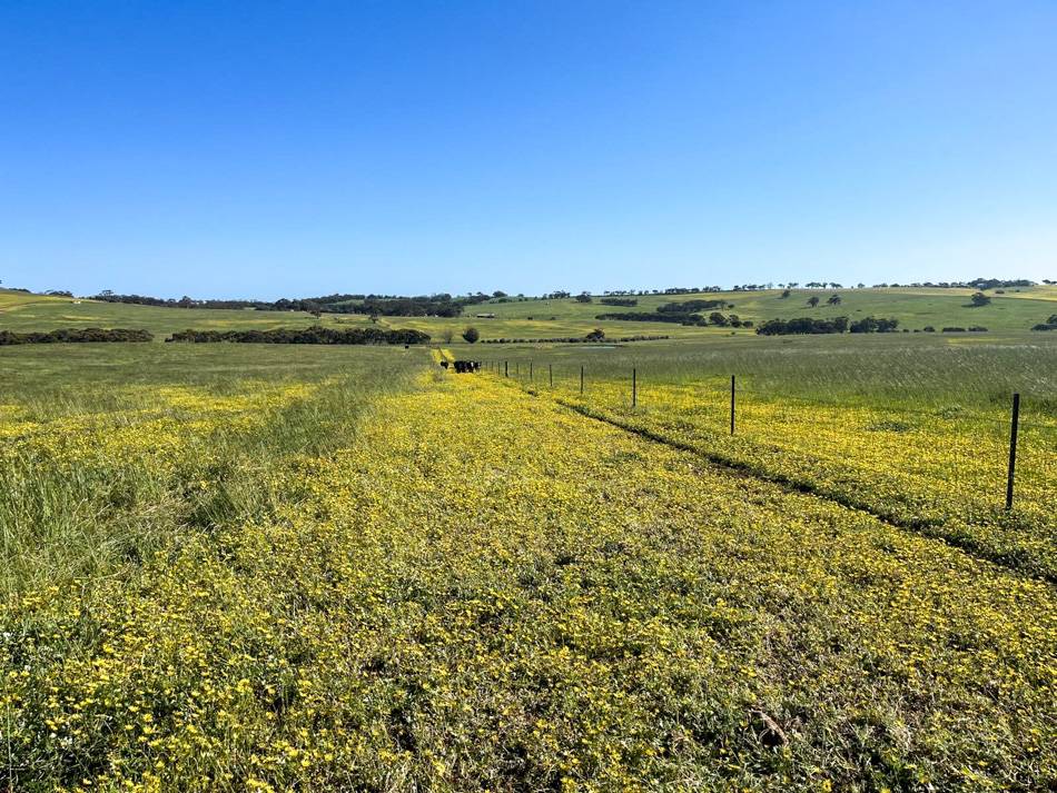 400 Balgaling Road, Toodyay For Sale by Farmbuy.com - image 2