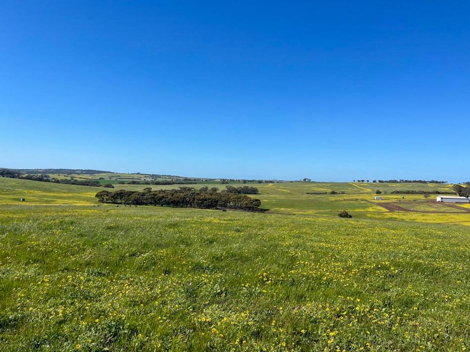 400 Balgaling Road, Toodyay For Sale by Farmbuy.com - image 3