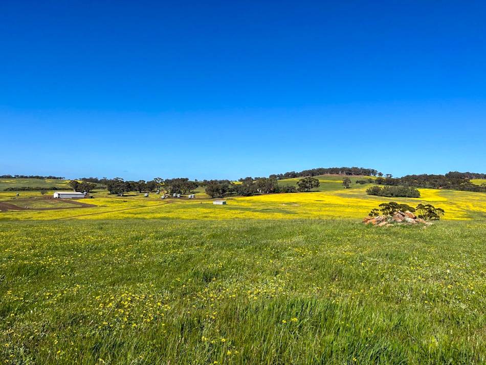 400 Balgaling Road, Toodyay For Sale by Farmbuy.com - image 1