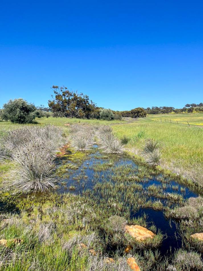 400 Balgaling Road, Toodyay For Sale by Farmbuy.com - image 5