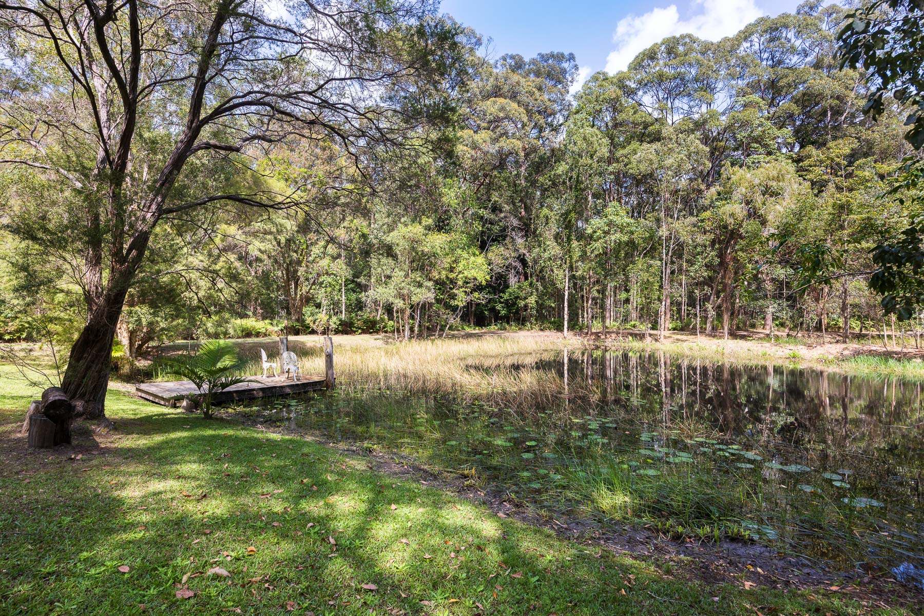 225 To 241 Pryor Road, Verrierdale For Sale by Farmbuy.com - image 22