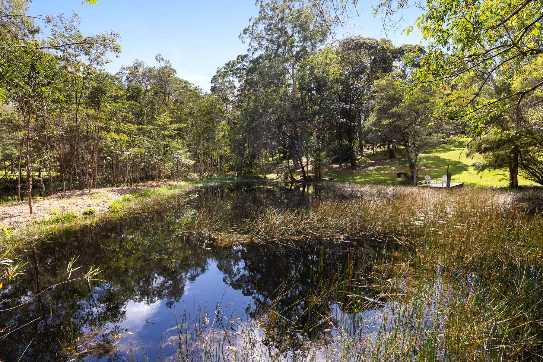 225 To 241 Pryor Road, Verrierdale For Sale by Farmbuy.com - image 23