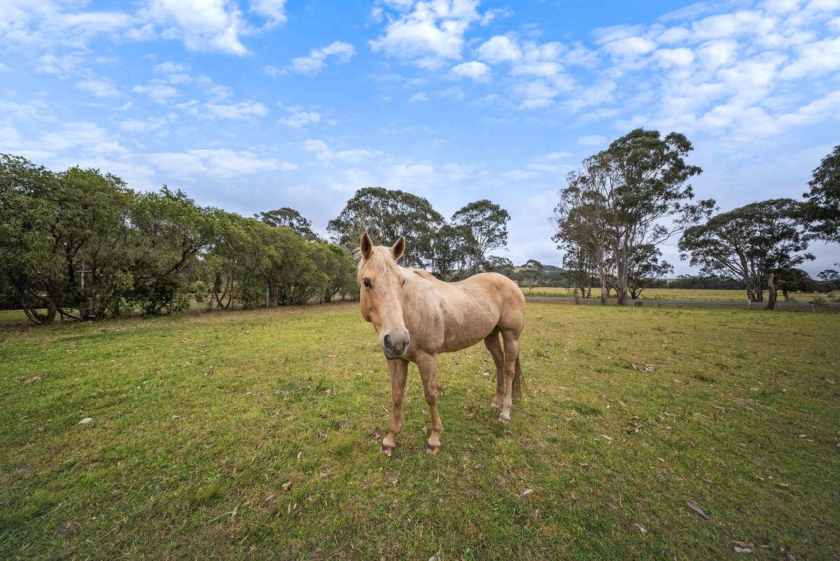 109 Sandy Creek Road, Mount Vincent For Sale by Farmbuy.com - image 28