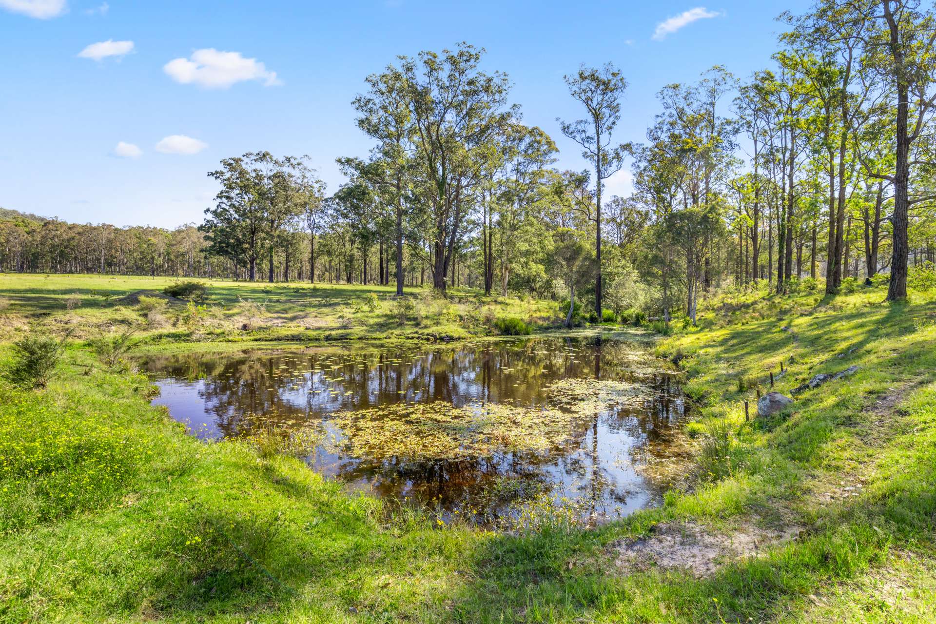 483 Booral-Washpool Road, Booral For Sale by Farmbuy.com - image 24
