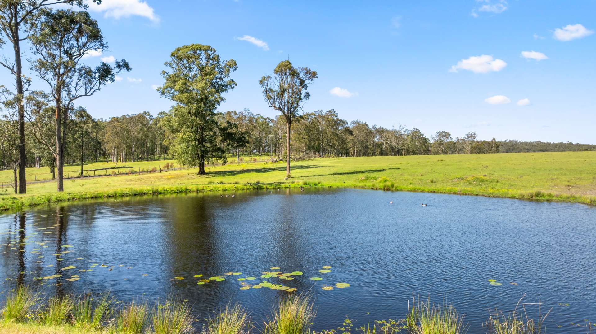 483 Booral-Washpool Road, Booral For Sale by Farmbuy.com - image 21