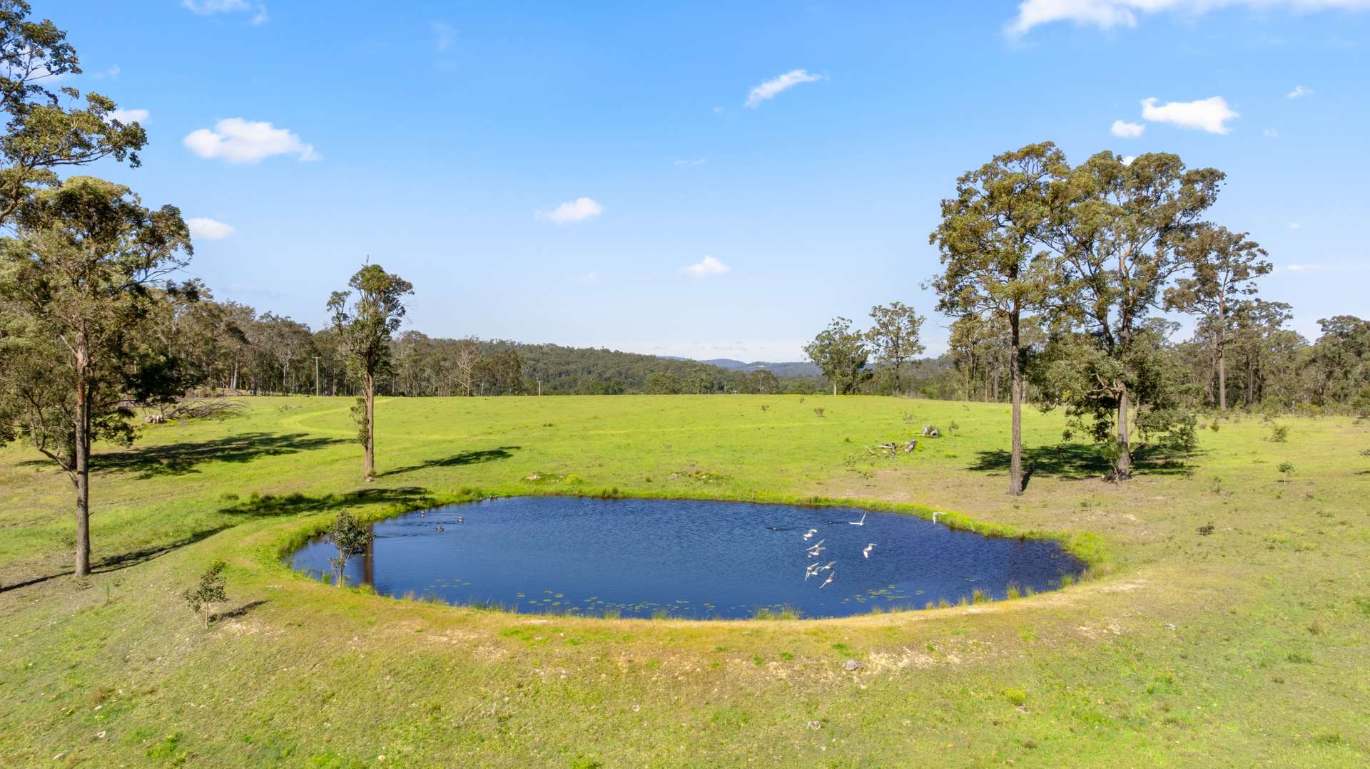 483 Booral-Washpool Road, Booral For Sale by Farmbuy.com - image 8