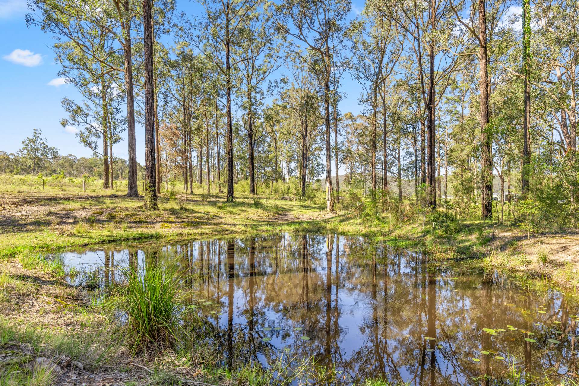 483 Booral-Washpool Road, Booral For Sale by Farmbuy.com - image 25