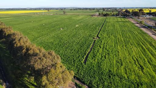 Lot 2 Union Road, Invergordon VIC 3636