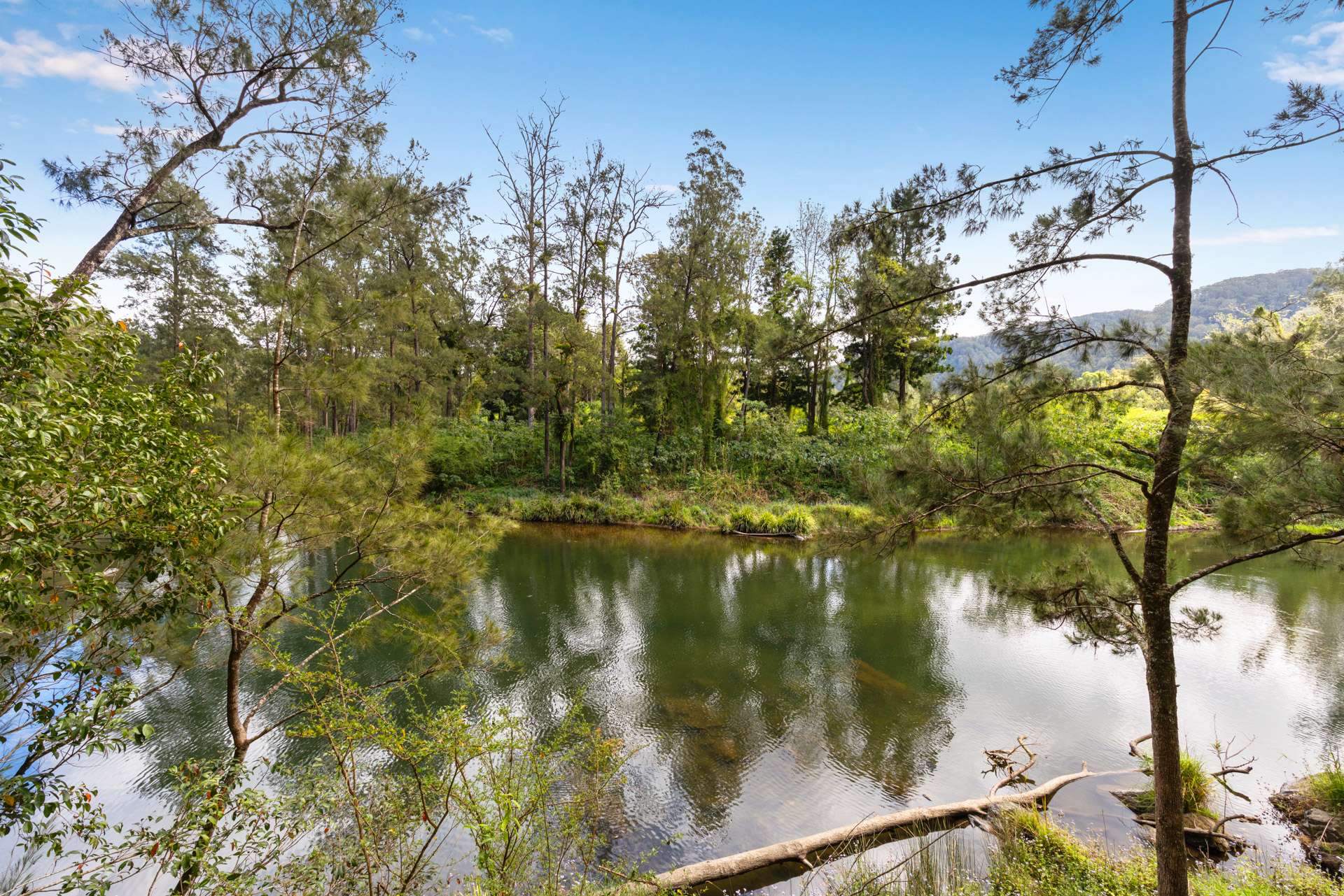 1135 Darkwood Road, Bellingen For Sale by Farmbuy.com - image 25