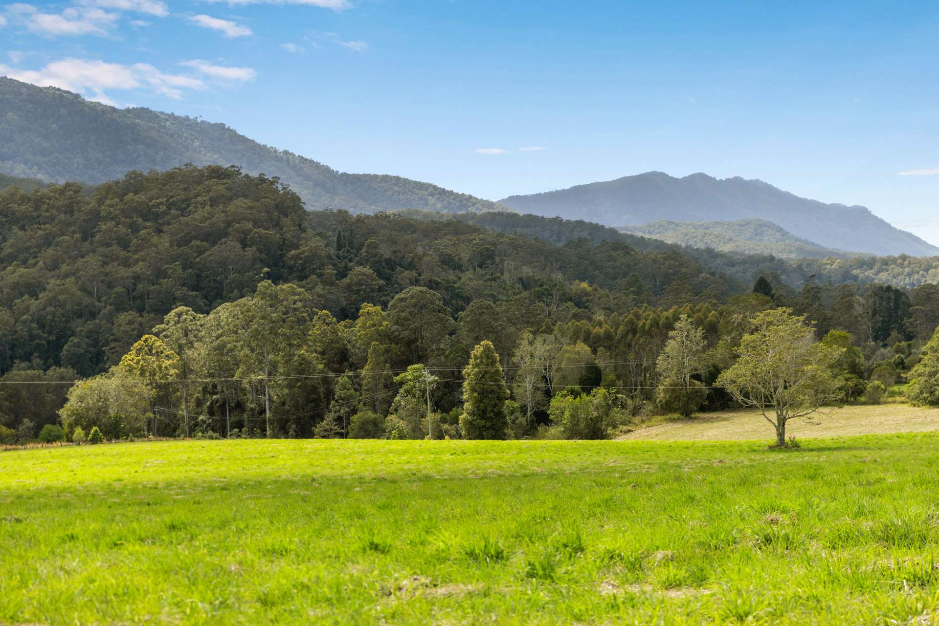 1135 Darkwood Road, Bellingen For Sale by Farmbuy.com - image 4