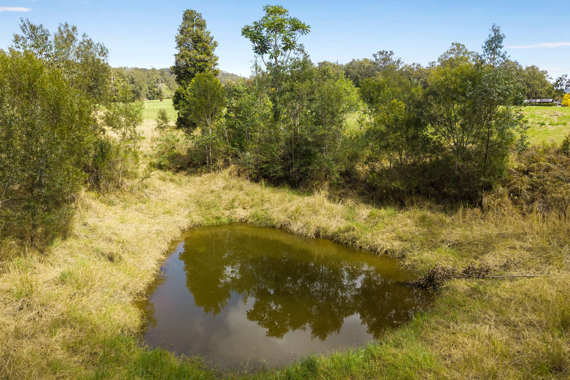 1135 Darkwood Road, Bellingen For Sale by Farmbuy.com - image 32