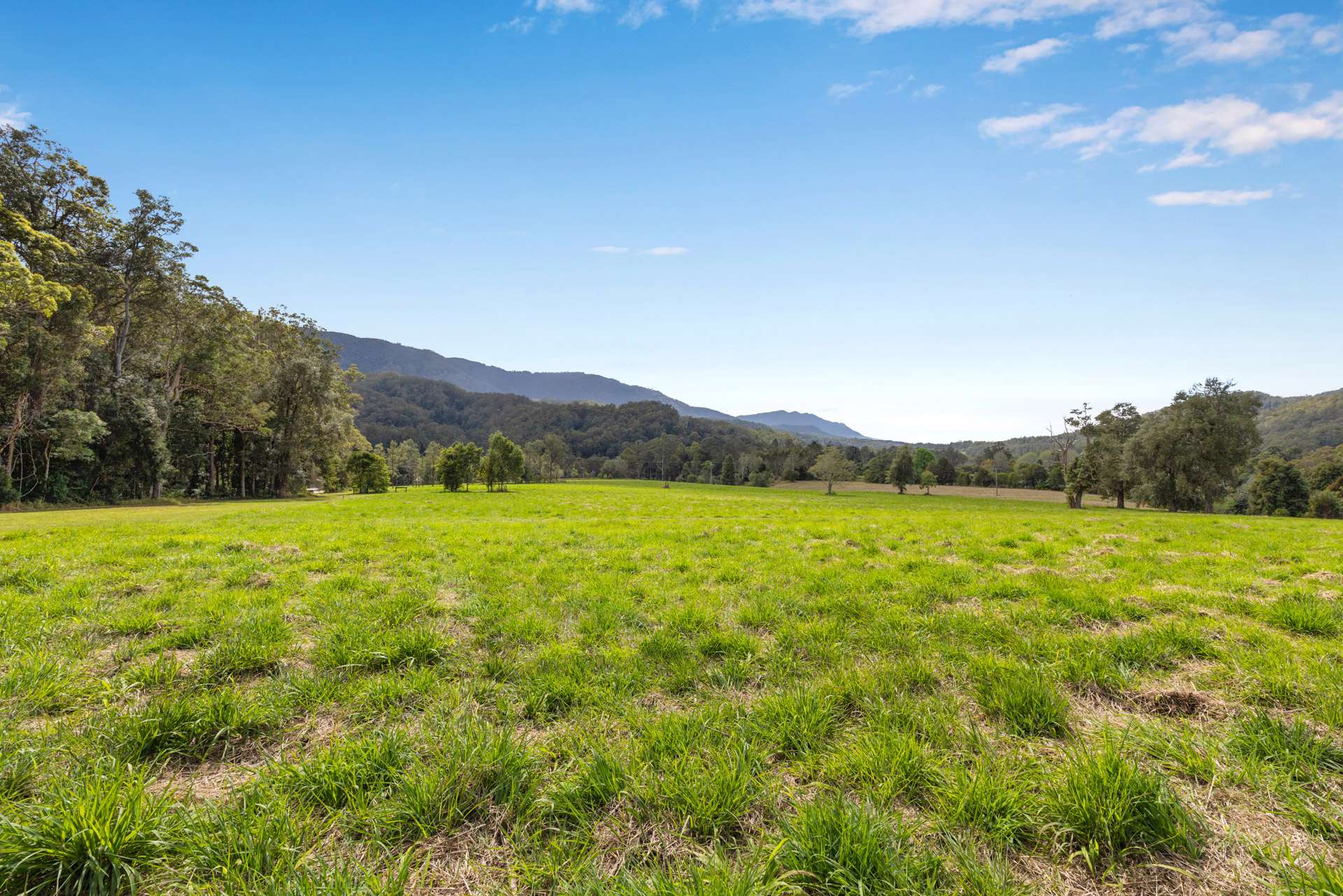 1135 Darkwood Road, Bellingen For Sale by Farmbuy.com - image 26