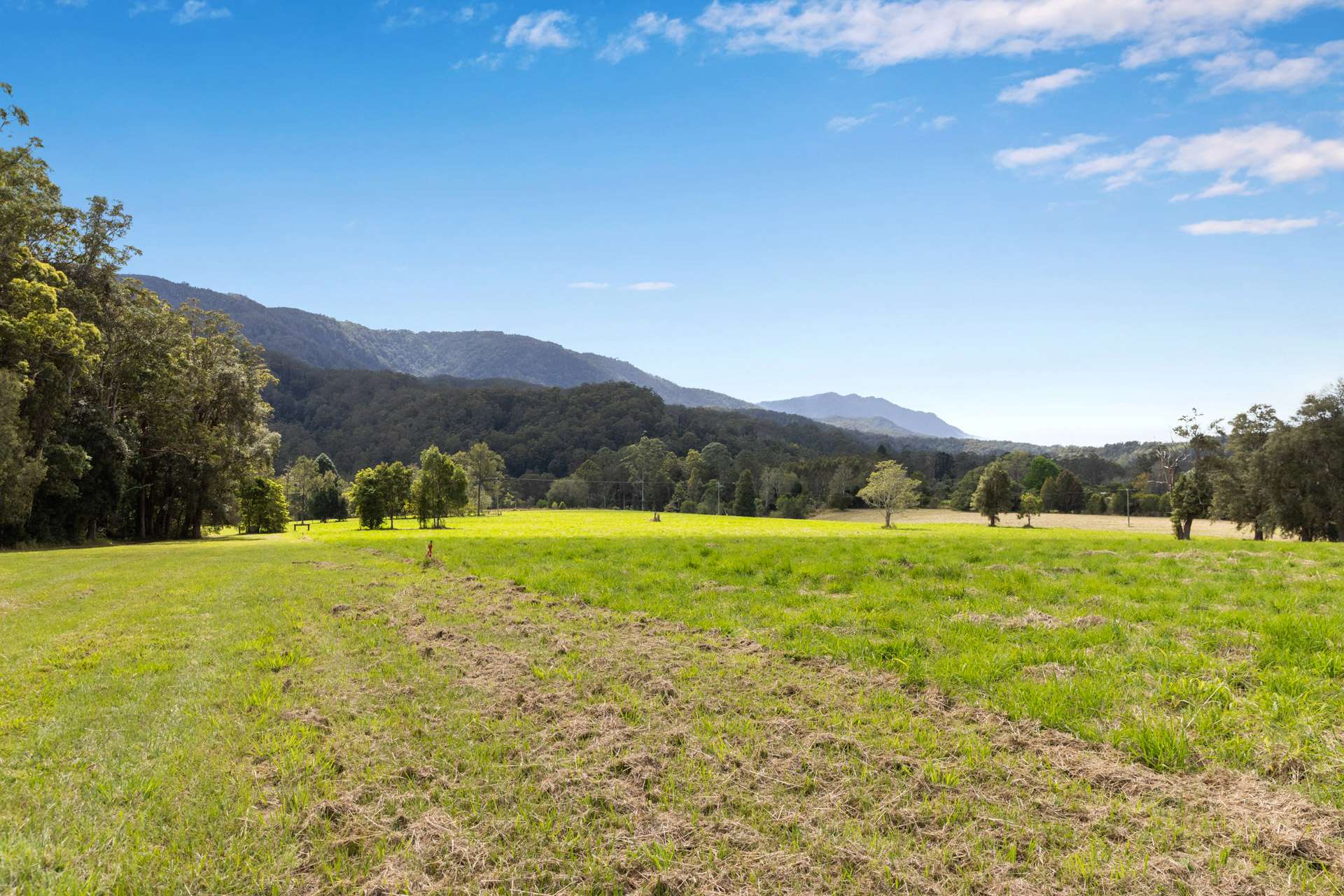 1135 Darkwood Road, Bellingen For Sale by Farmbuy.com - image 28