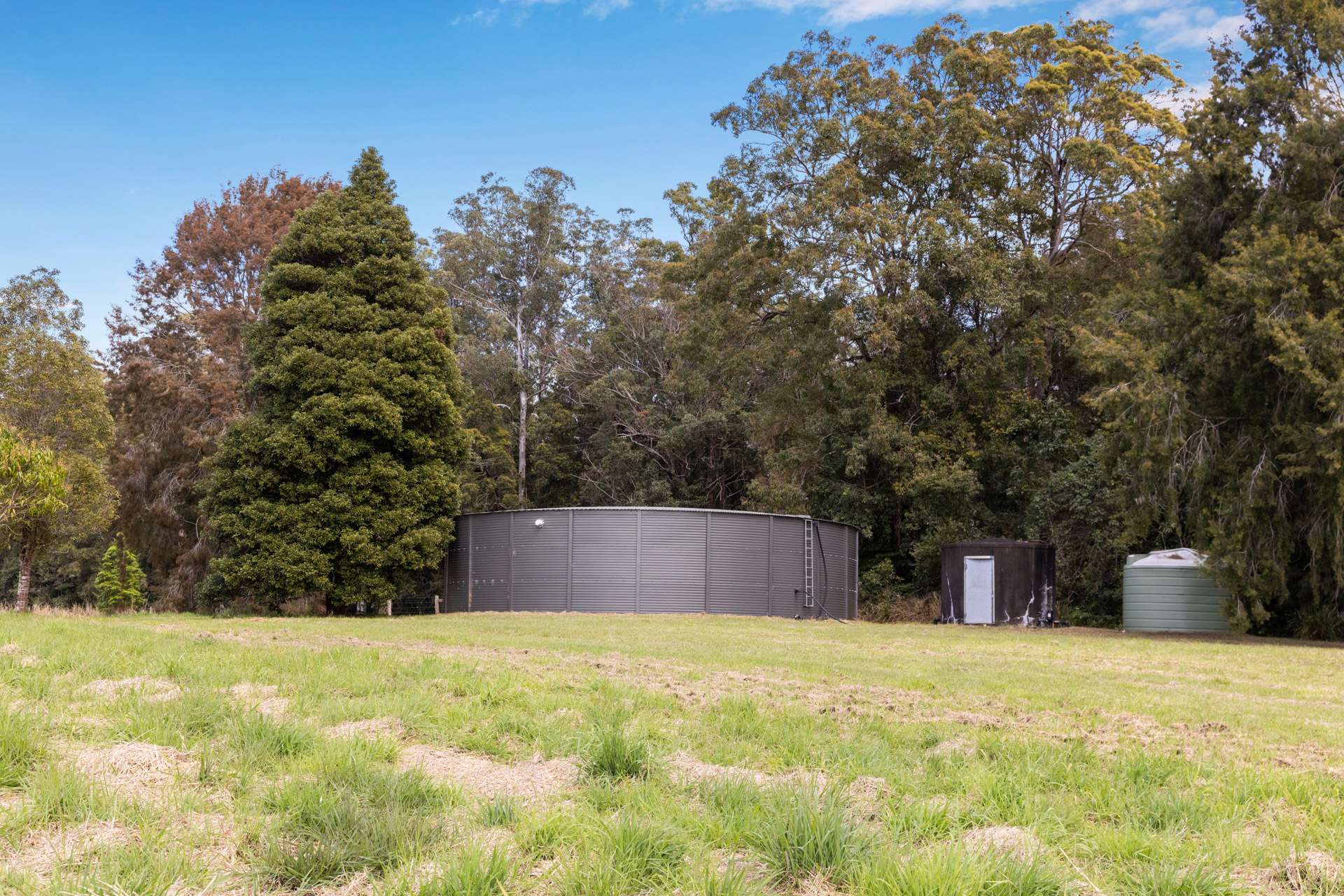 1135 Darkwood Road, Bellingen For Sale by Farmbuy.com - image 27
