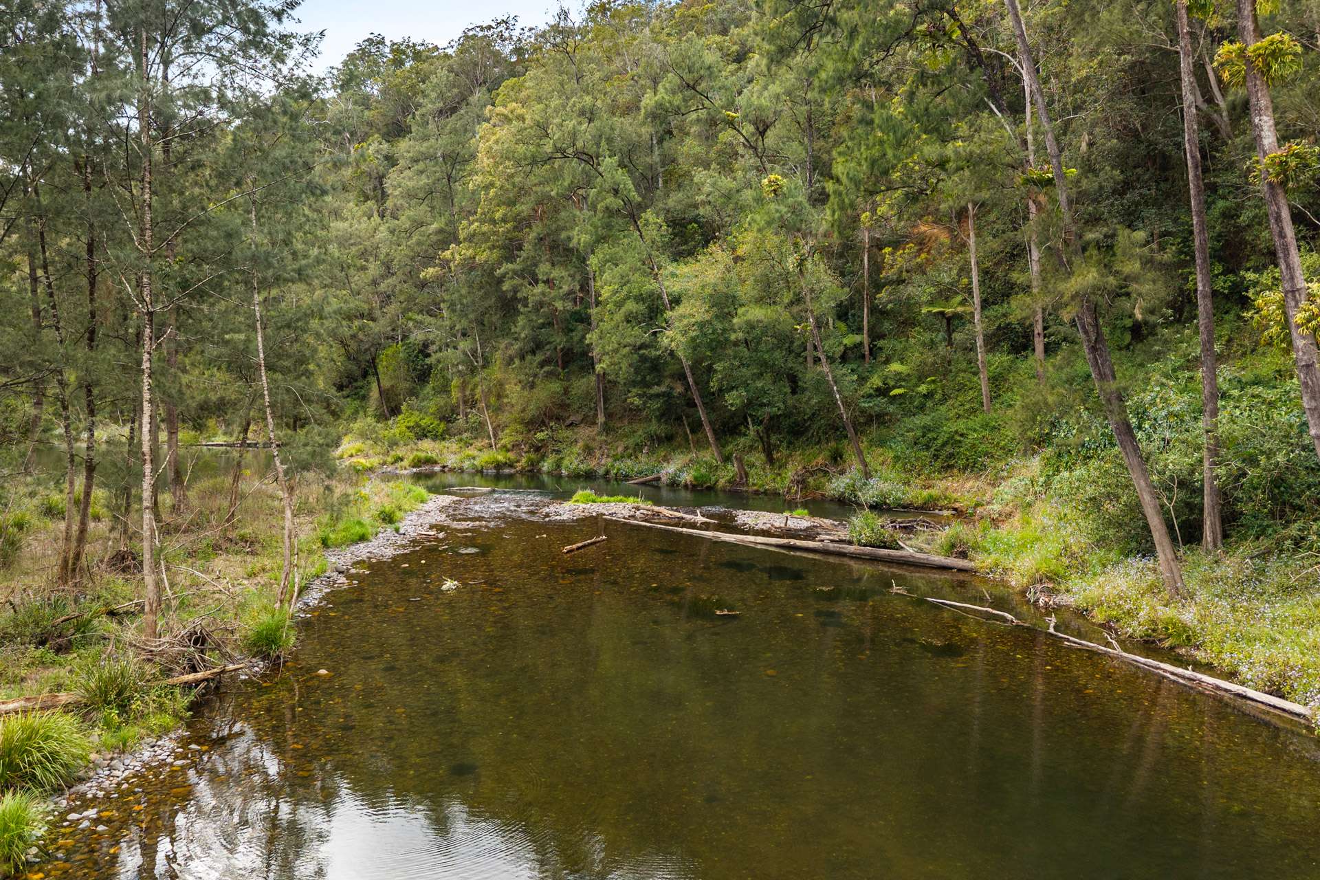 1135 Darkwood Road, Bellingen For Sale by Farmbuy.com - image 3