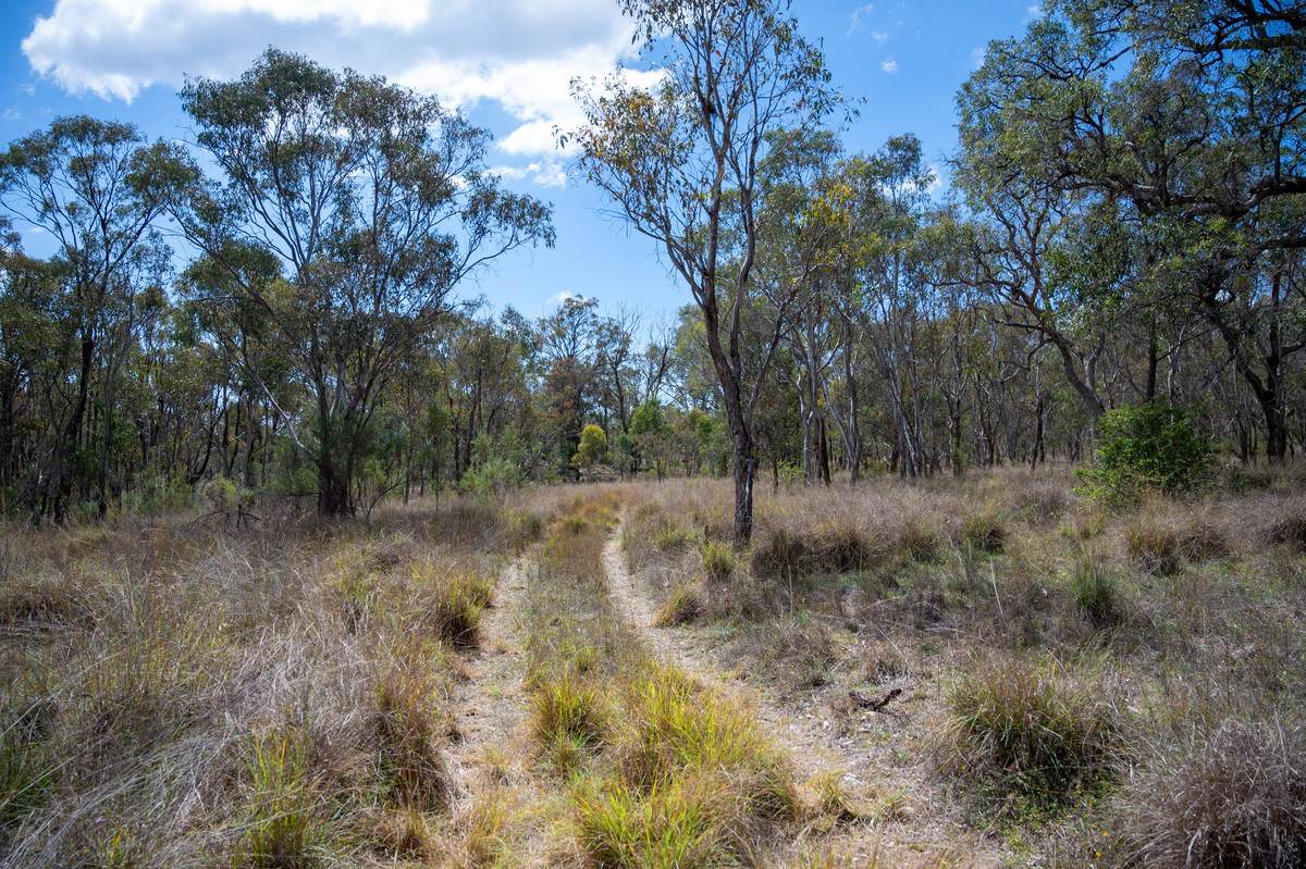 69 Clare Hills Road, Warwick For Sale by Farmbuy.com - image 24
