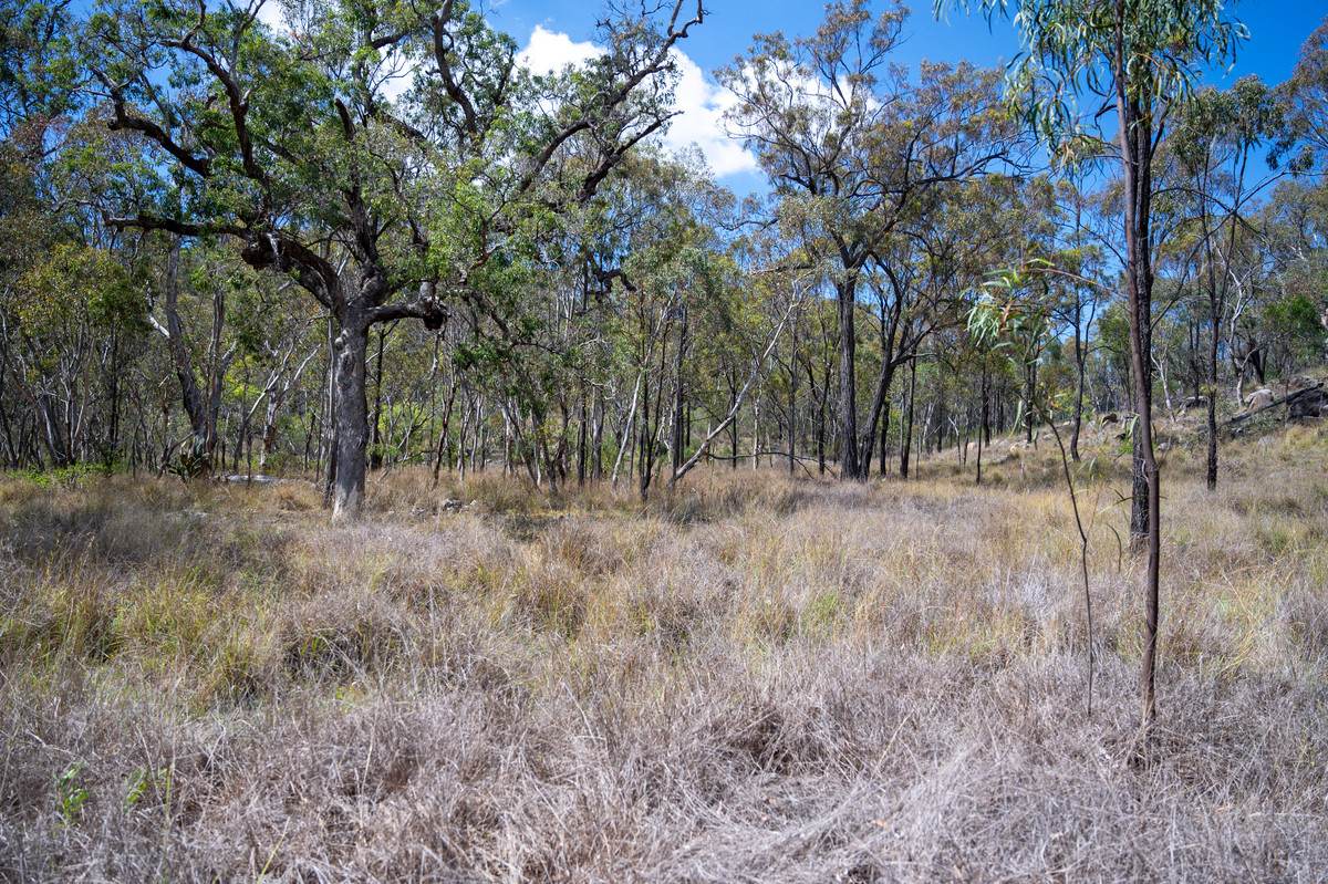 69 Clare Hills Road, Warwick For Sale by Farmbuy.com - image 22