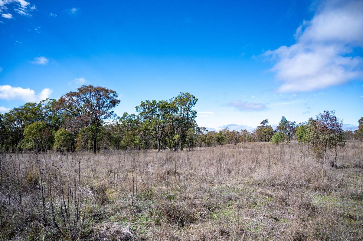 69 Clare Hills Road, Warwick For Sale by Farmbuy.com - image 30
