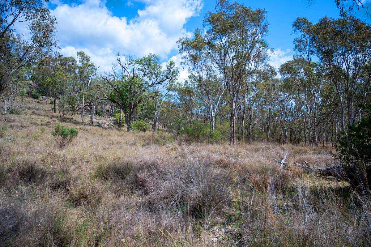 69 Clare Hills Road, Warwick For Sale by Farmbuy.com - image 23