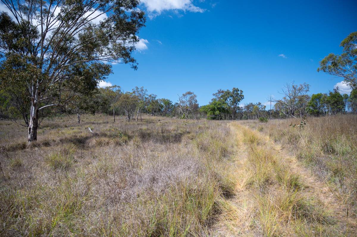69 Clare Hills Road, Warwick For Sale by Farmbuy.com - image 8