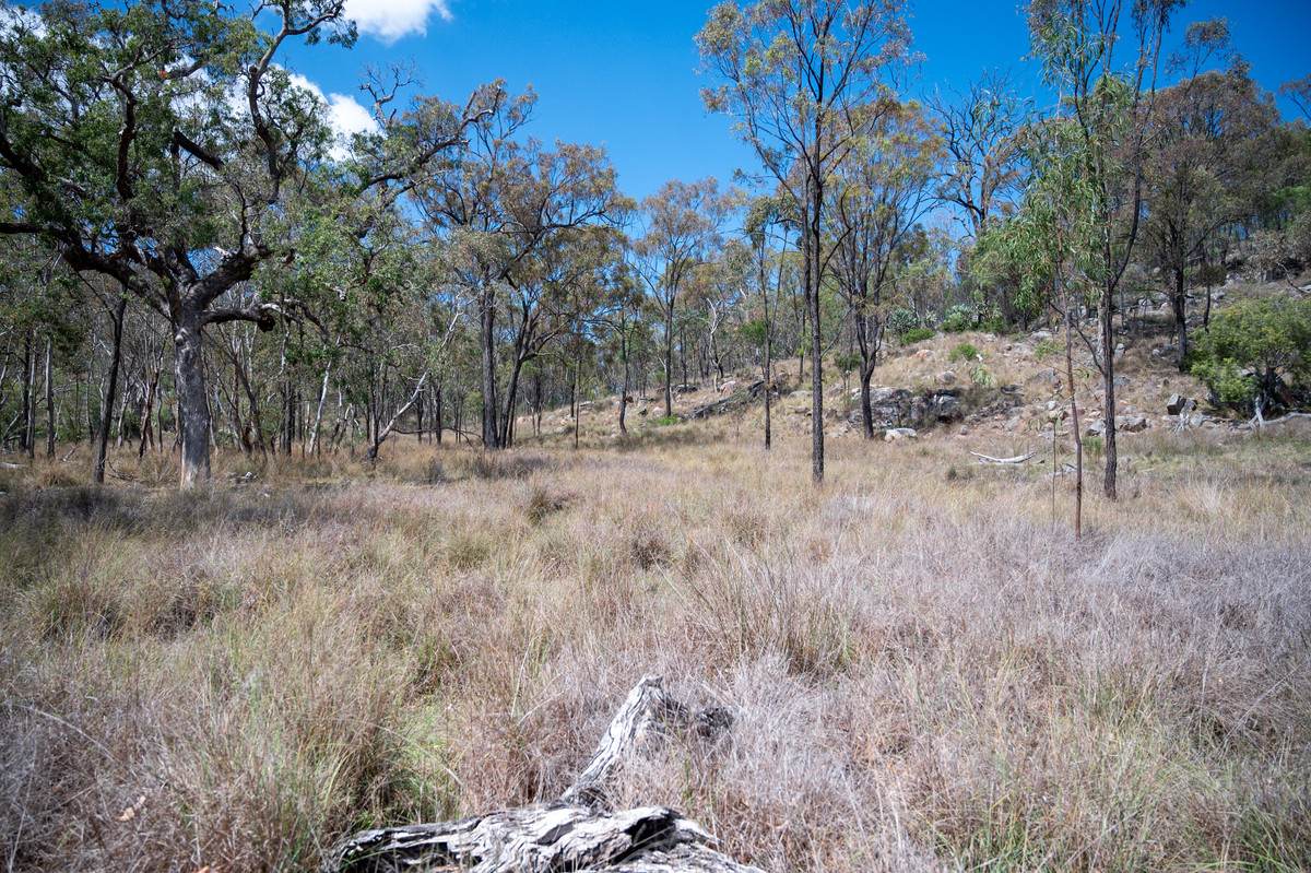 69 Clare Hills Road, Warwick For Sale by Farmbuy.com - image 9