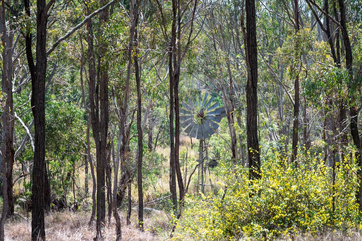 69 Clare Hills Road, Warwick For Sale by Farmbuy.com - image 21