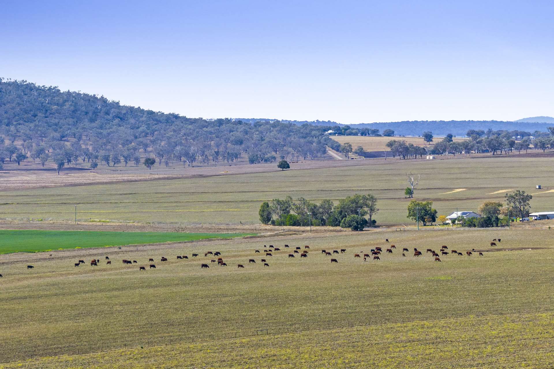 1 Back Plains - Clifton Road, Back Plains For Sale by Farmbuy.com - image 7