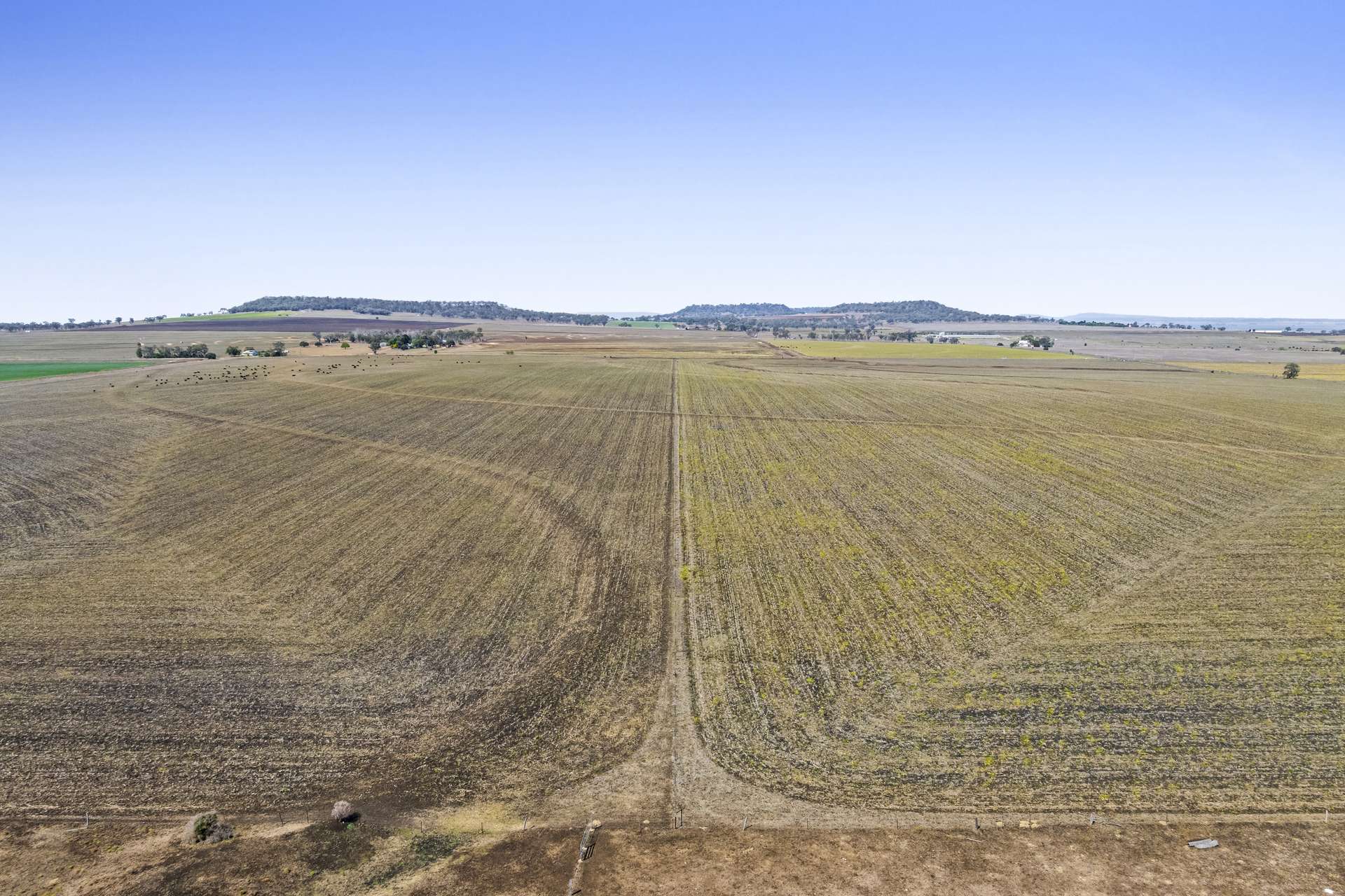 1 Back Plains - Clifton Road, Back Plains For Sale by Farmbuy.com - image 4