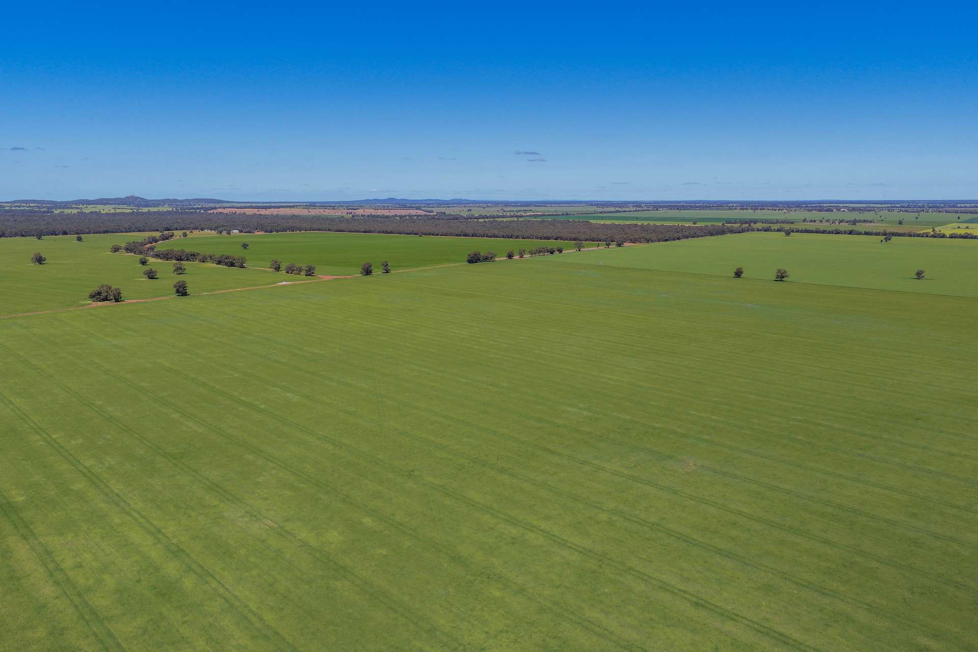 2639 Wamboyne Road, West Wyalong For Sale by Farmbuy.com - image 10