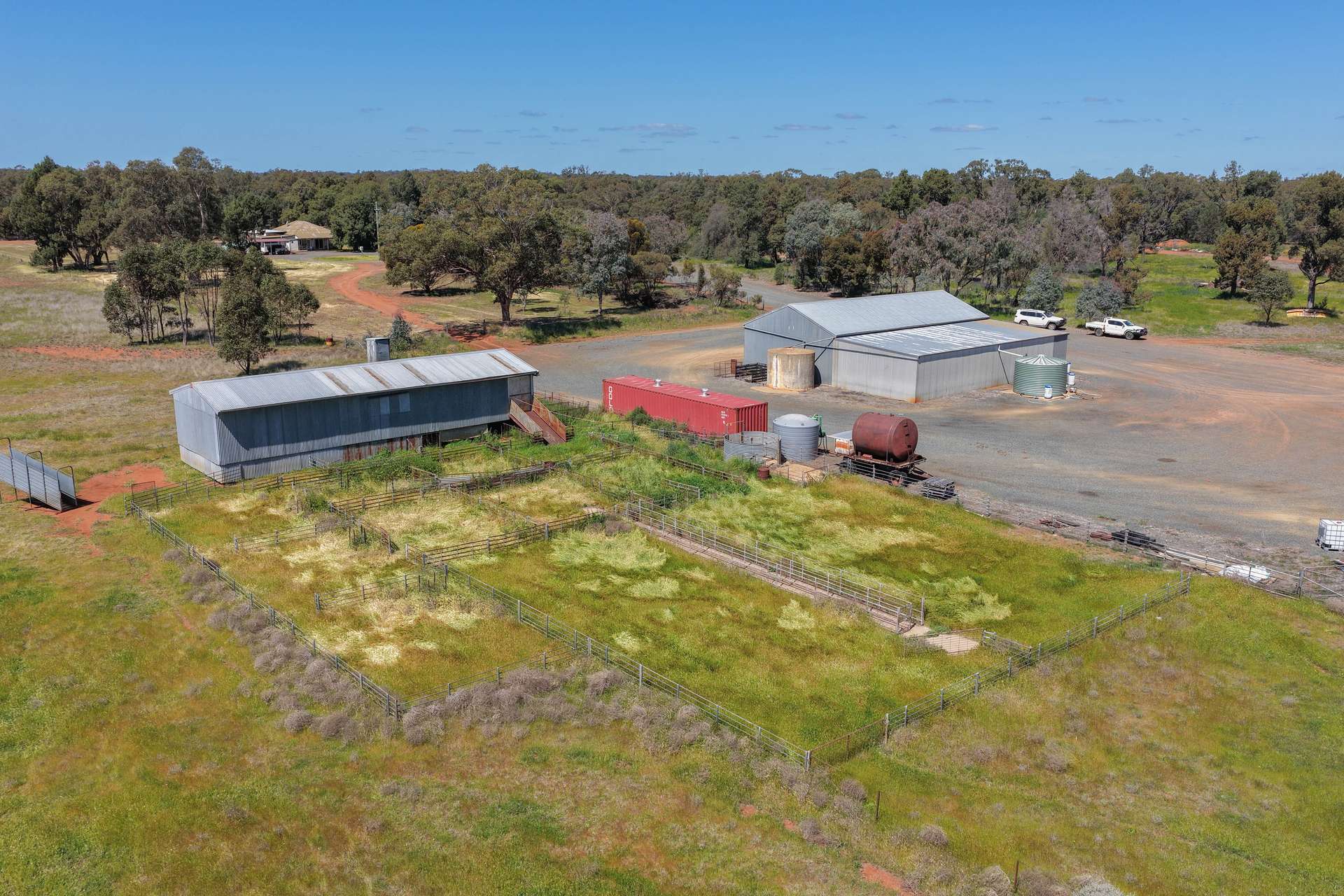 2639 Wamboyne Road, West Wyalong For Sale by Farmbuy.com - image 4