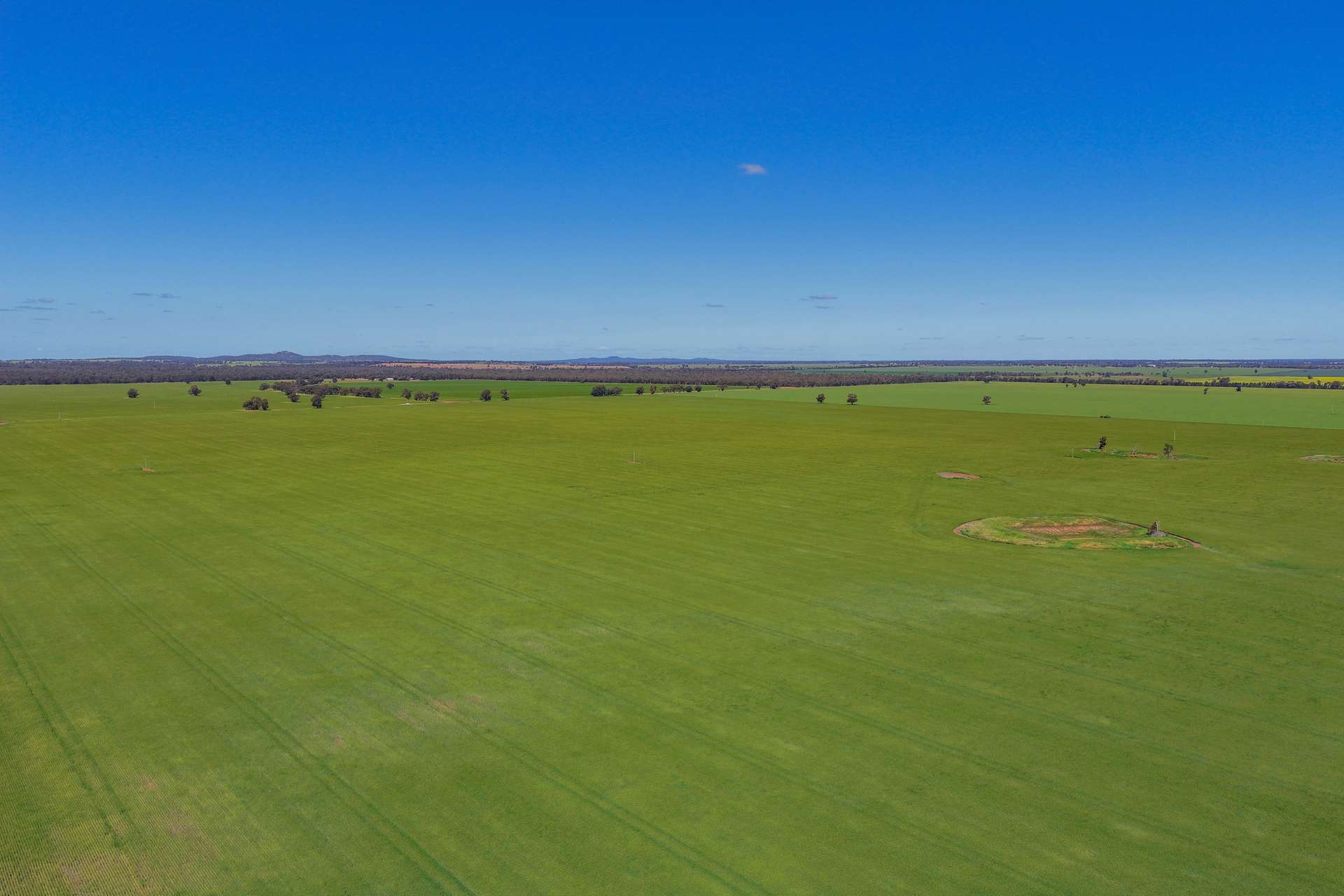 2639 Wamboyne Road, West Wyalong For Sale by Farmbuy.com - image 8
