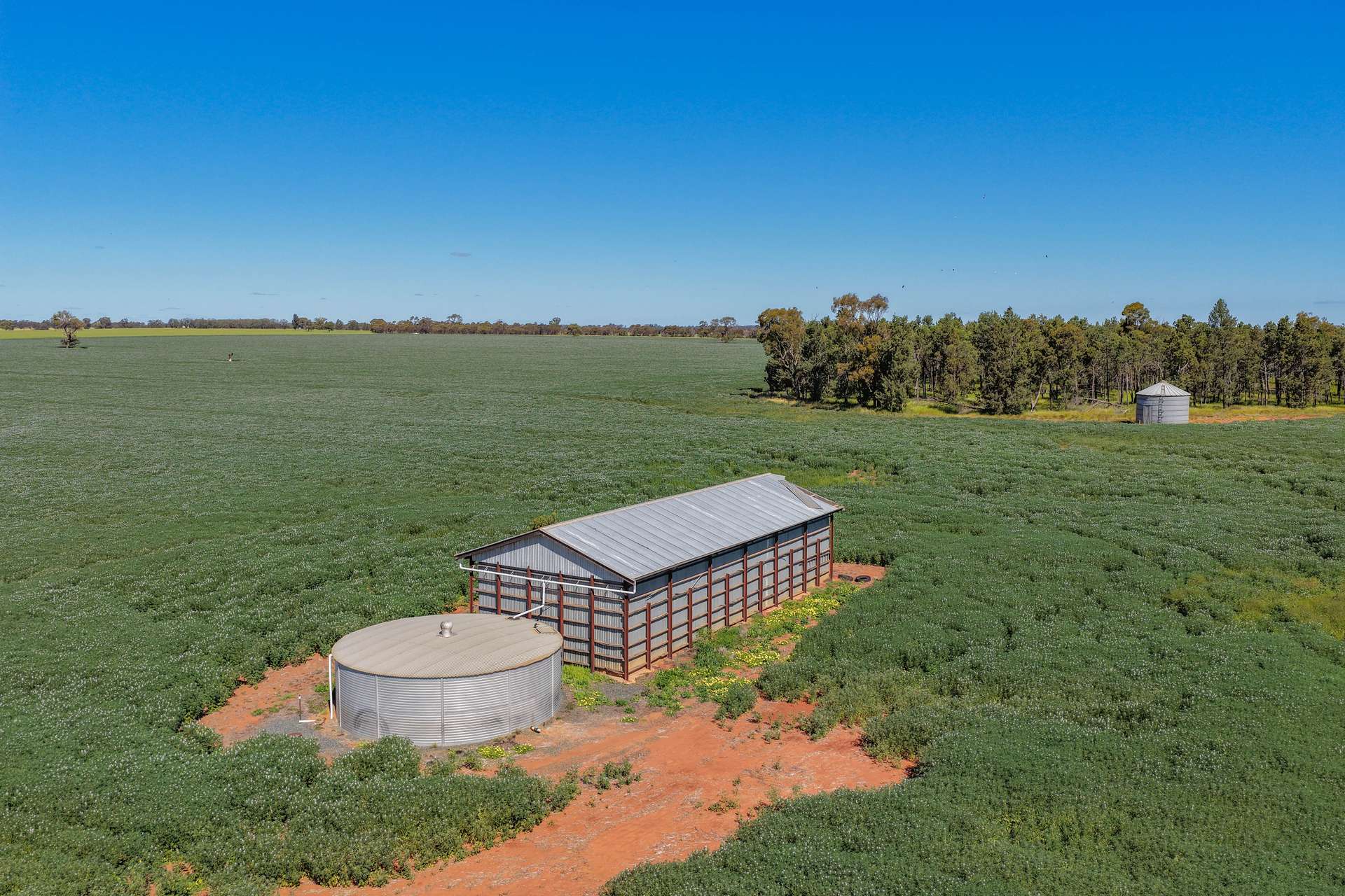 2639 Wamboyne Road, West Wyalong For Sale by Farmbuy.com - image 12