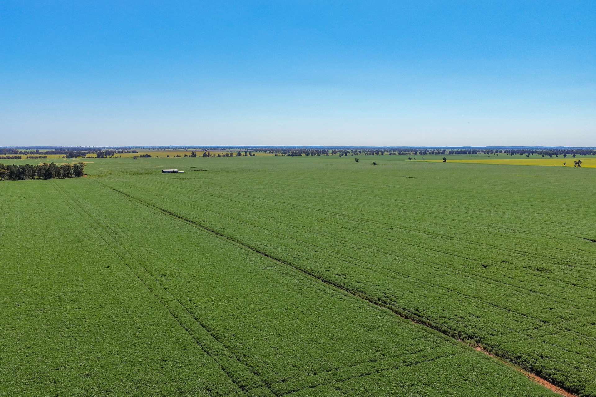 2639 Wamboyne Road, West Wyalong For Sale by Farmbuy.com - image 11