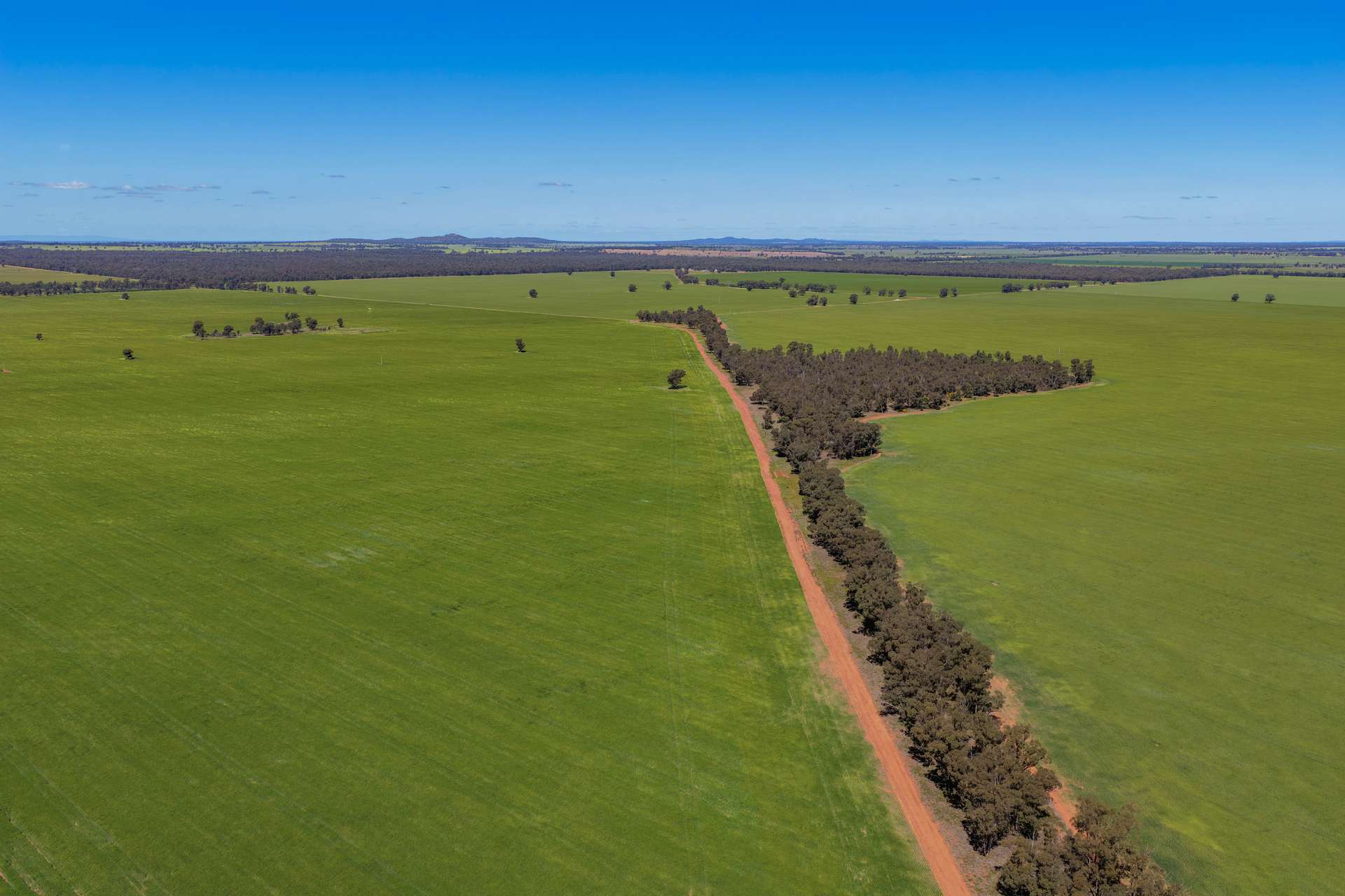 2639 Wamboyne Road, West Wyalong For Sale by Farmbuy.com - image 7