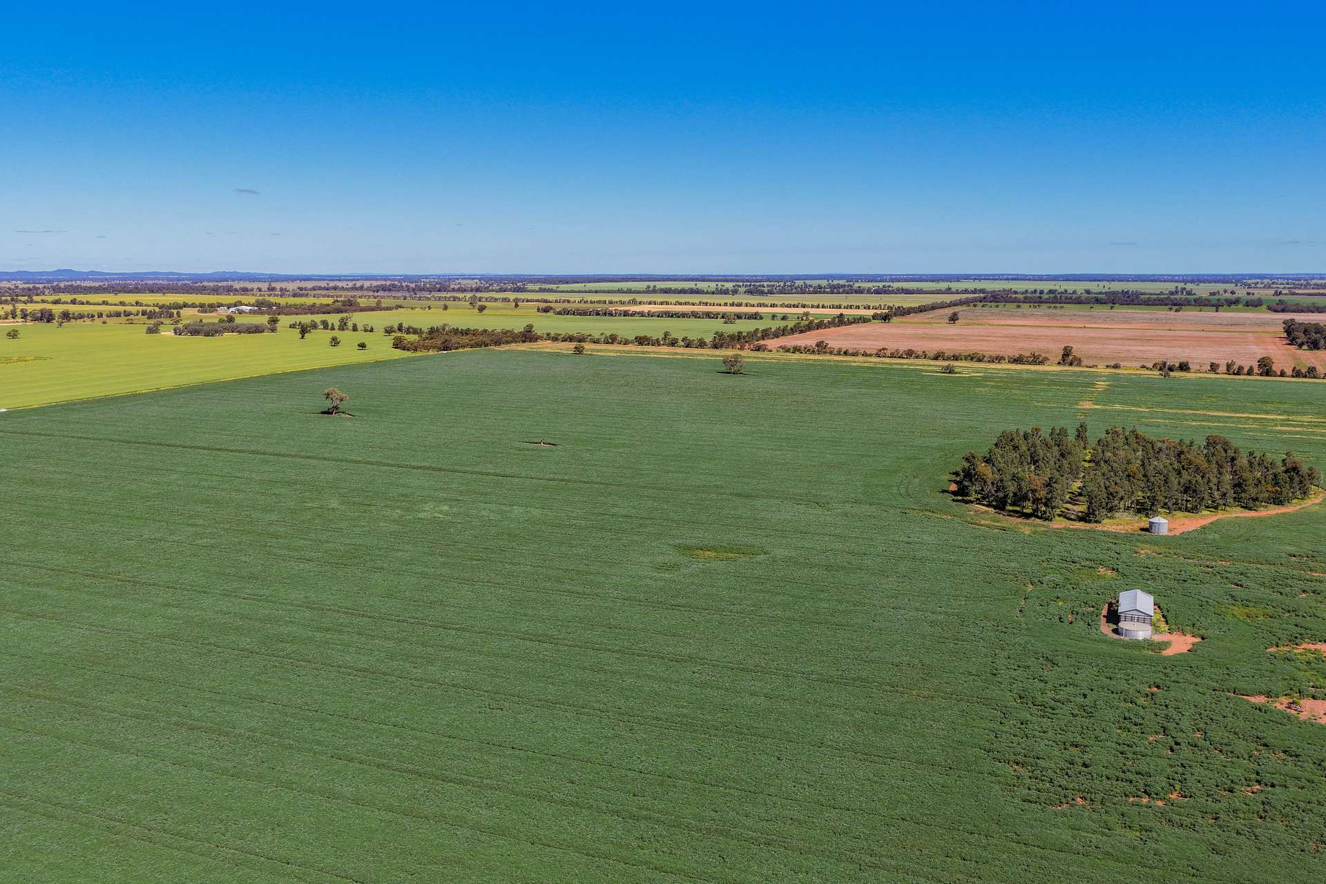 2639 Wamboyne Road, West Wyalong For Sale by Farmbuy.com - image 13