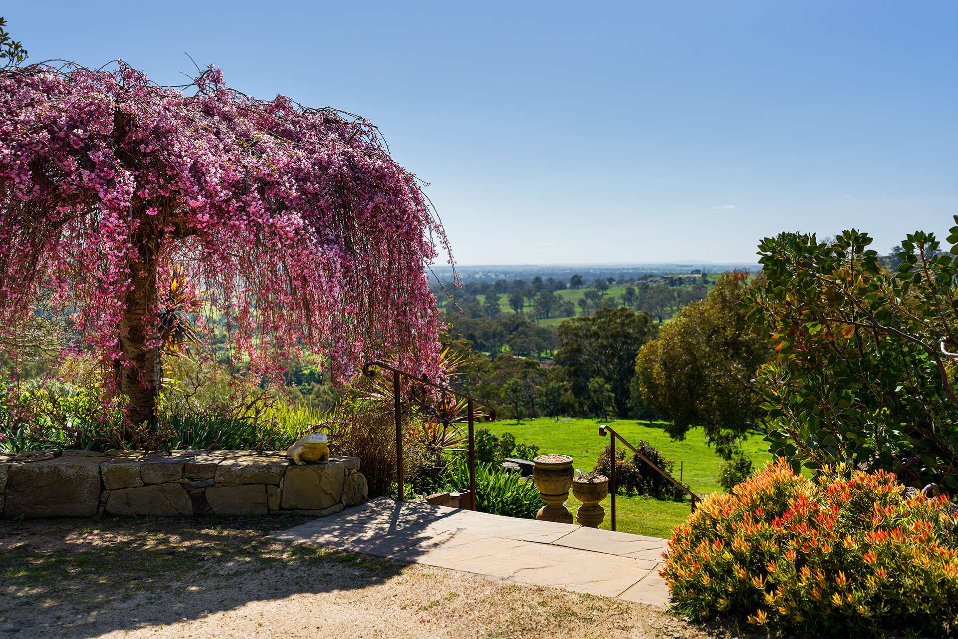 373 Faraday-Sutton Grange Road, Sutton Grange For Sale by Farmbuy.com - image 31