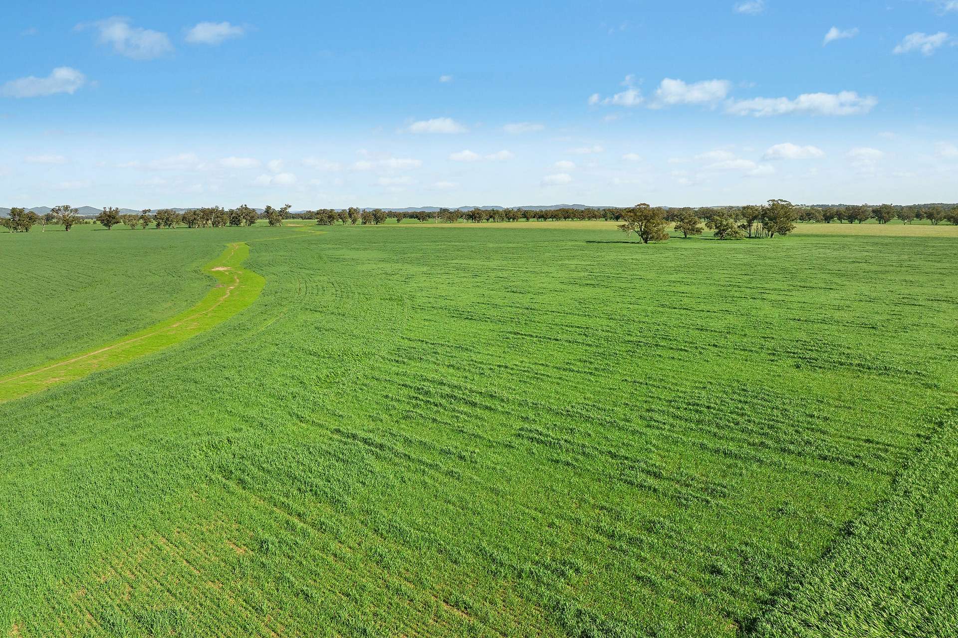 3130 Adelargo Road, Grenfell For Sale by Farmbuy.com - image 9