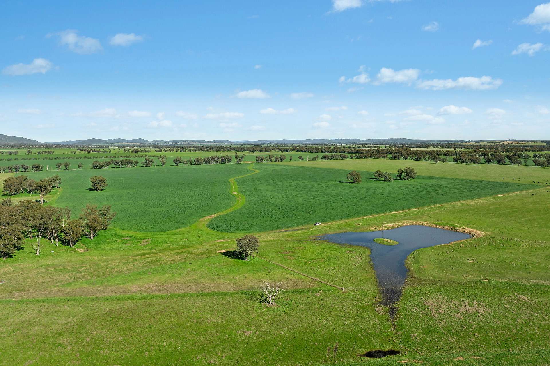 3130 Adelargo Road, Grenfell For Sale by Farmbuy.com - image 26