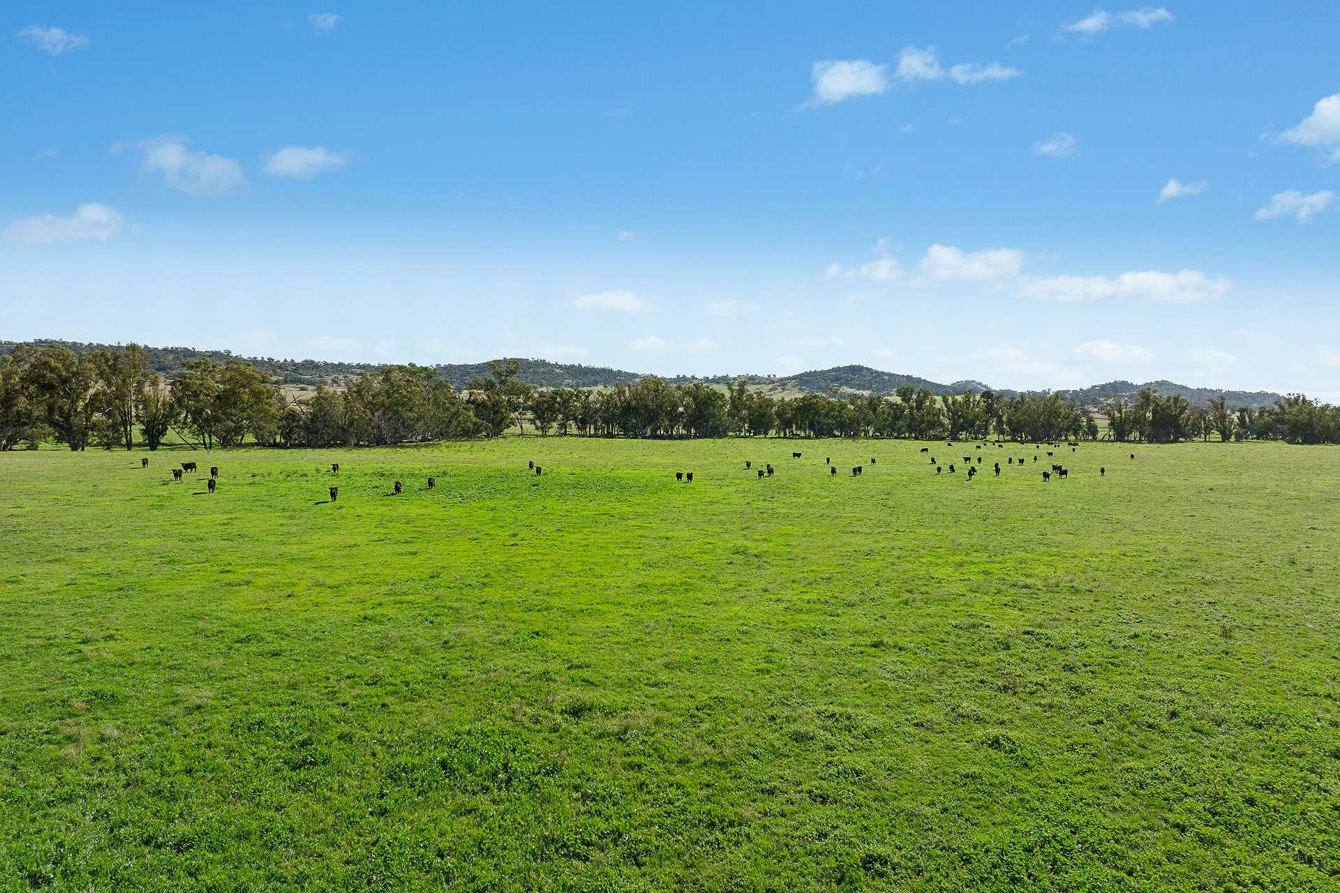 3130 Adelargo Road, Grenfell For Sale by Farmbuy.com - image 21