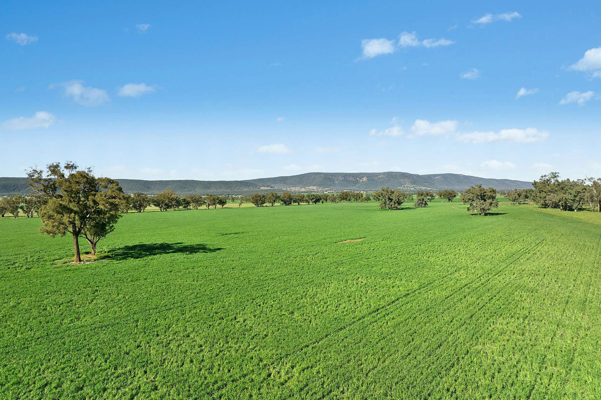3130 Adelargo Road, Grenfell For Sale by Farmbuy.com - image 27