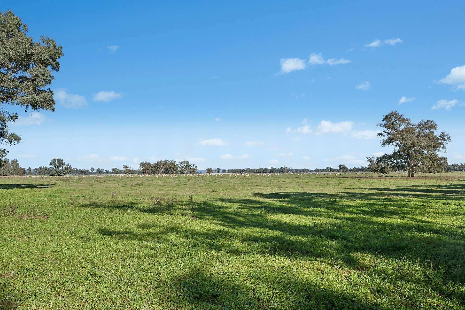 3130 Adelargo Road, Grenfell For Sale by Farmbuy.com - image 24