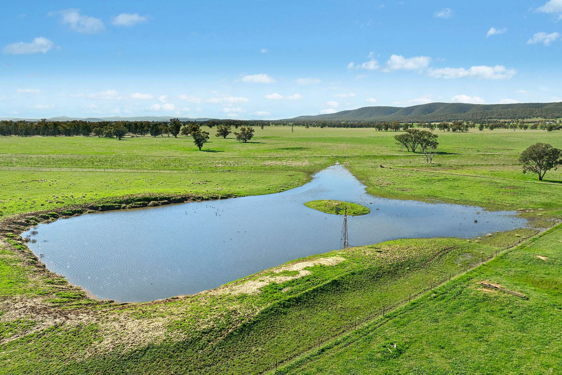 3130 Adelargo Road, Grenfell For Sale by Farmbuy.com - image 18