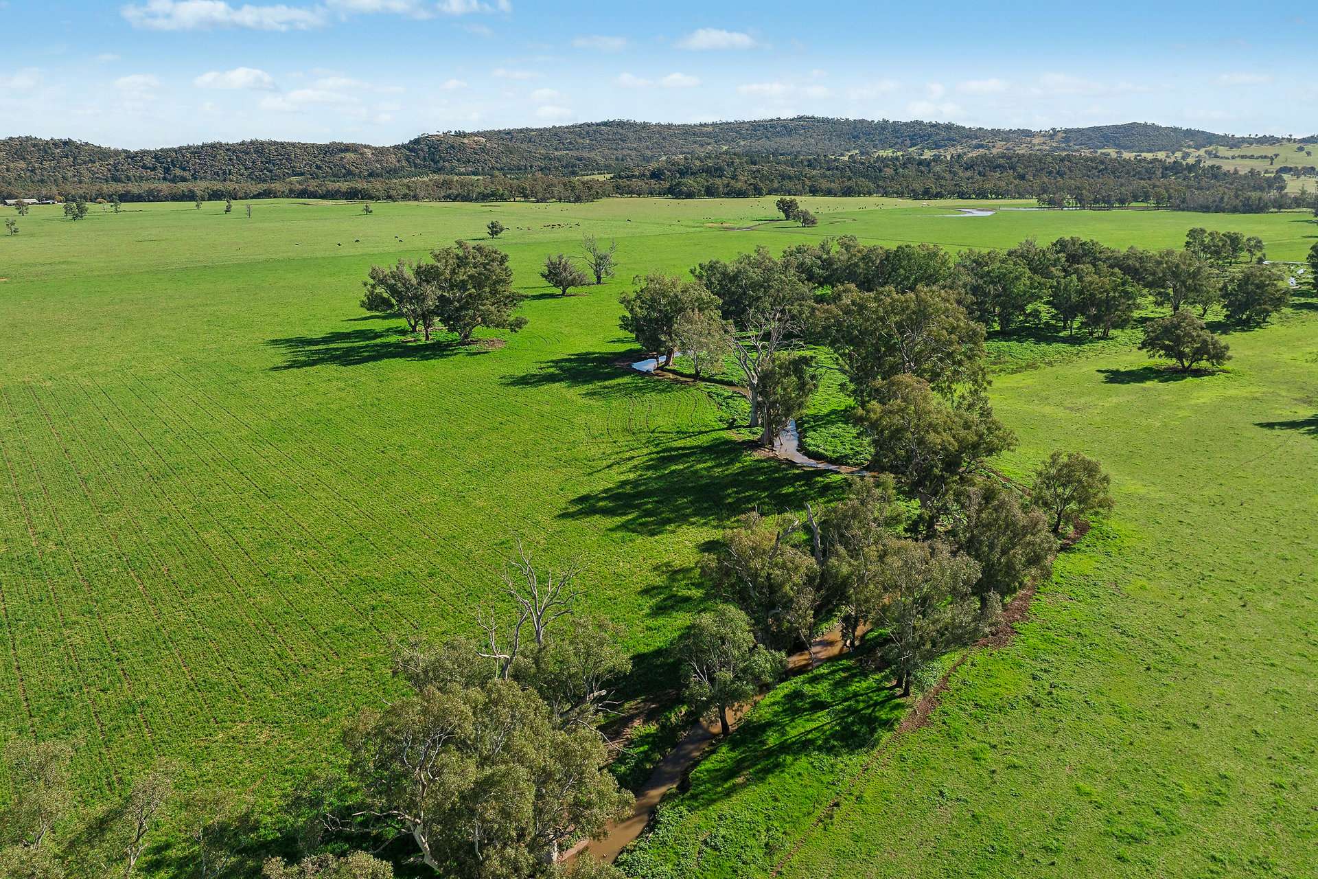 3130 Adelargo Road, Grenfell For Sale by Farmbuy.com - image 13