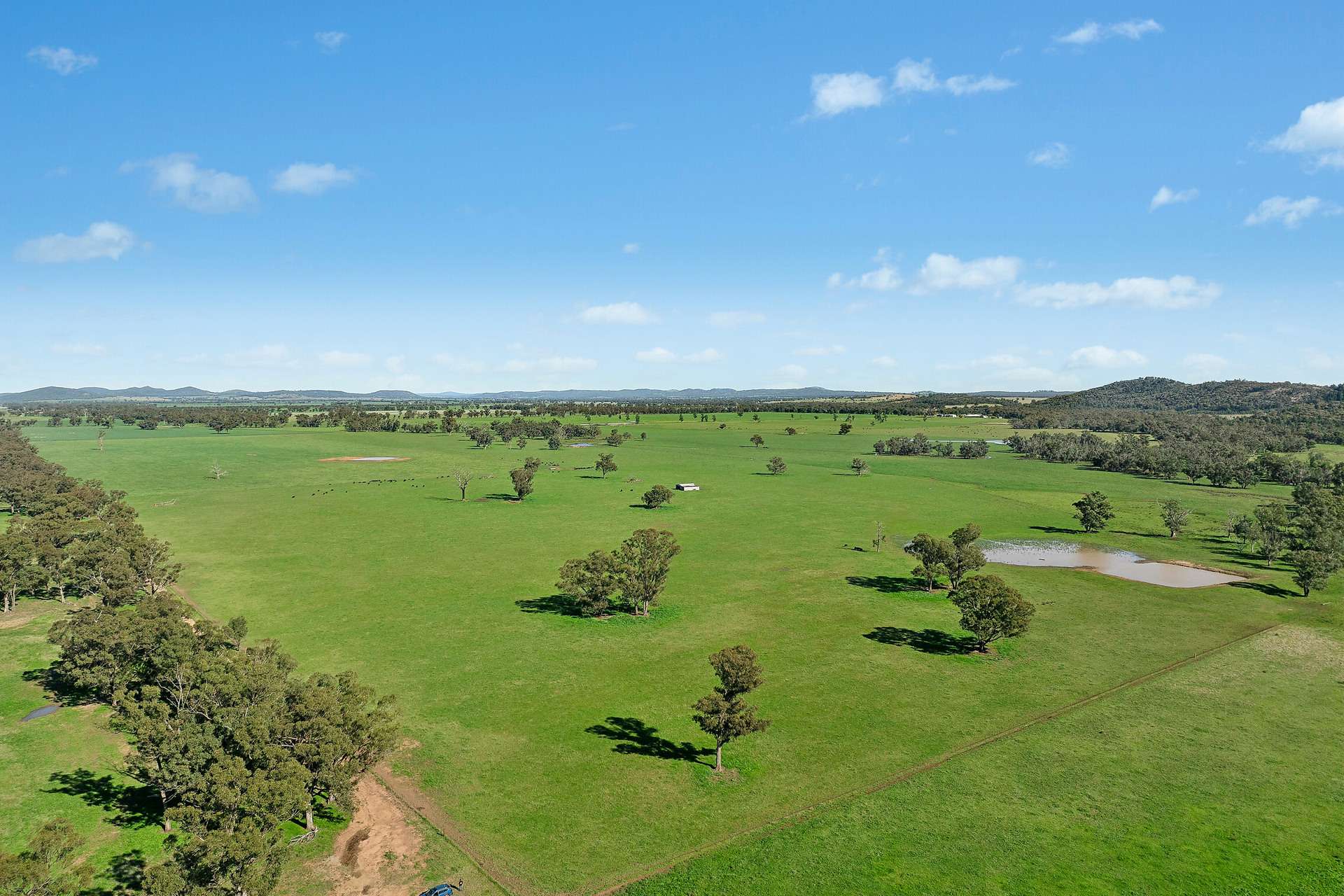 3130 Adelargo Road, Grenfell For Sale by Farmbuy.com - image 7