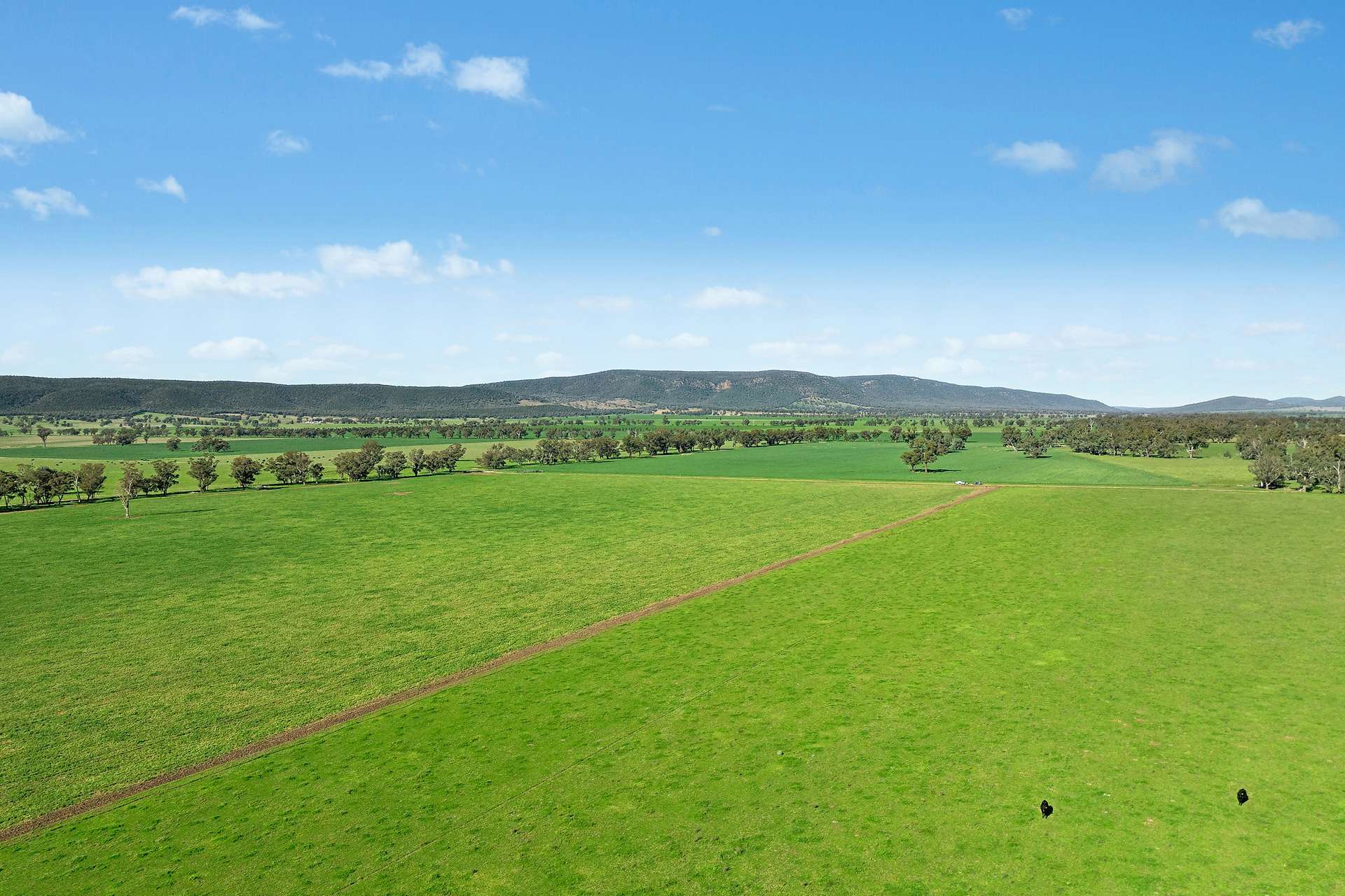 3130 Adelargo Road, Grenfell For Sale by Farmbuy.com - image 1