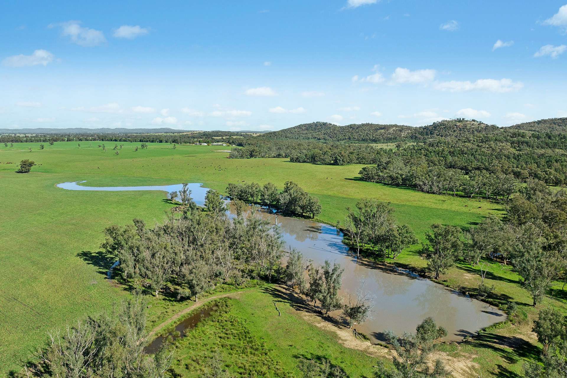3130 Adelargo Road, Grenfell For Sale by Farmbuy.com - image 20
