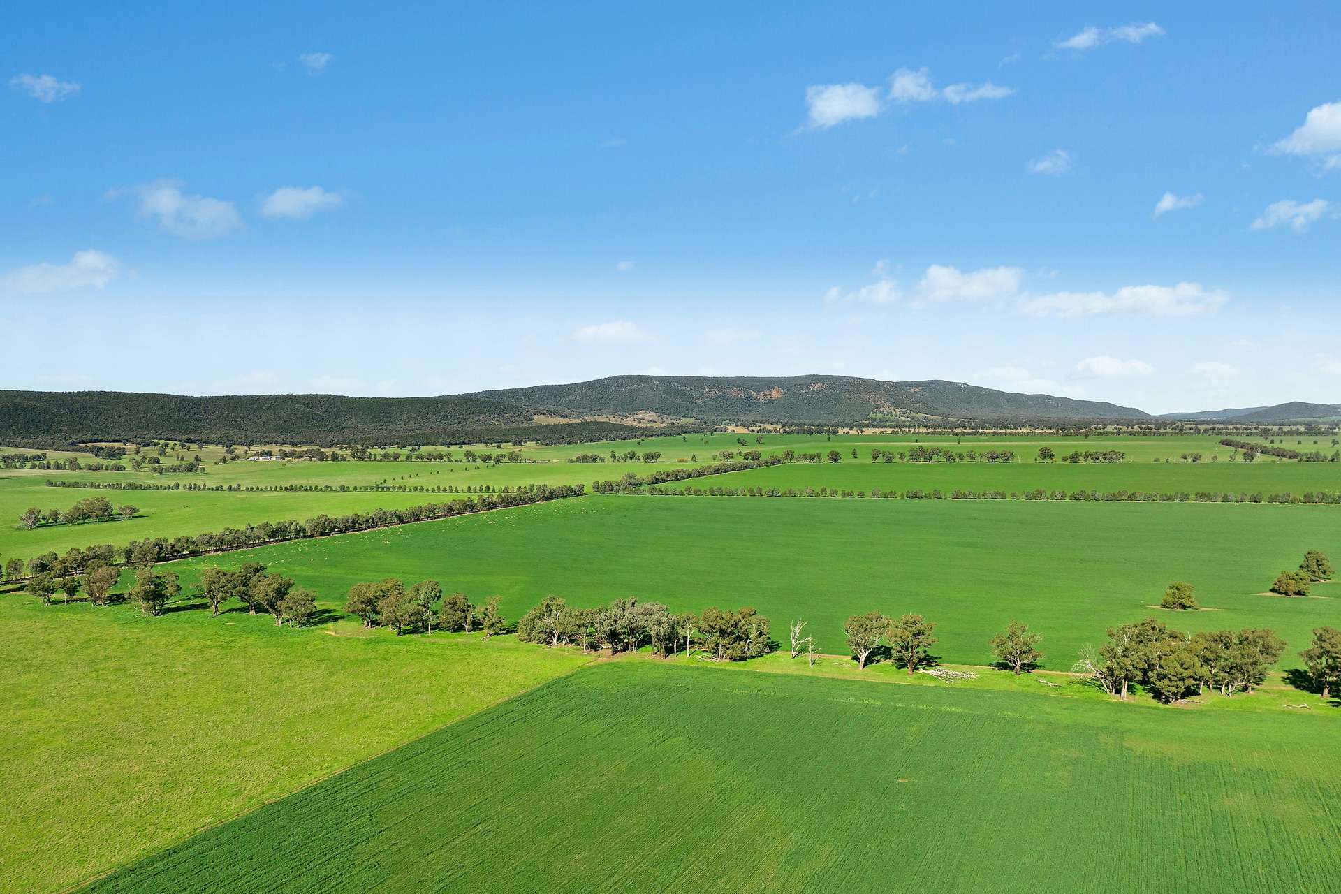 3130 Adelargo Road, Grenfell For Sale by Farmbuy.com - image 30