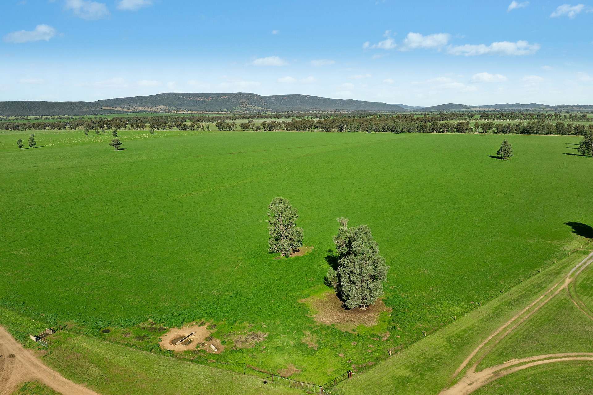 3130 Adelargo Road, Grenfell For Sale by Farmbuy.com - image 22